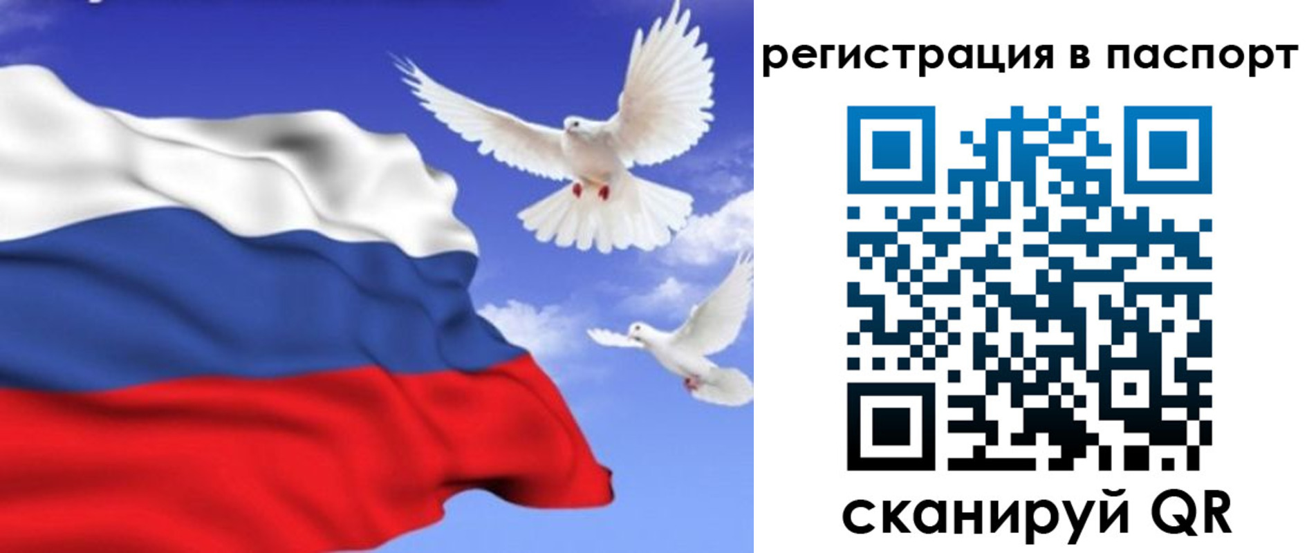 купить прописку в Боготоле